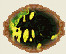 SP94.jpg