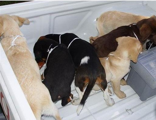 δ.jpg