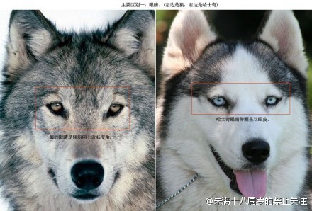 abbr_517062ffd8d3554ead64a626442d6ab5.jpg
