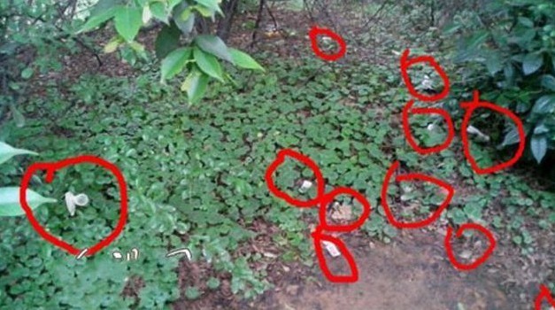 01.jpg