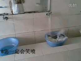 ѧ֮ˮͷԶϴ·Ϲ.gif