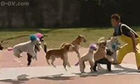 5-120GH20036.gif