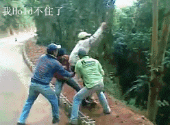 5-120GH20036.gif