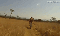 5-120GH20036.gif