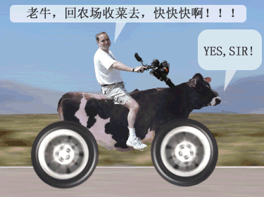 1.gif