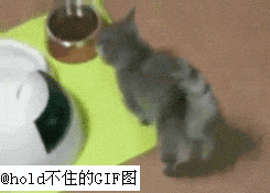 㣬ˣٸӵɣûгԱ.gif