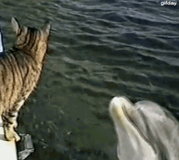ת飬ˮĺ඼ɧ.gif
