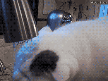 Ҫɾ˰ˮʱŪʪͷȻëɣ.gif