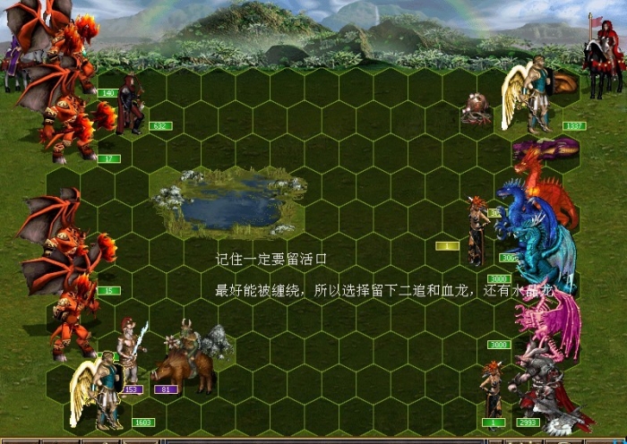 243.jpg