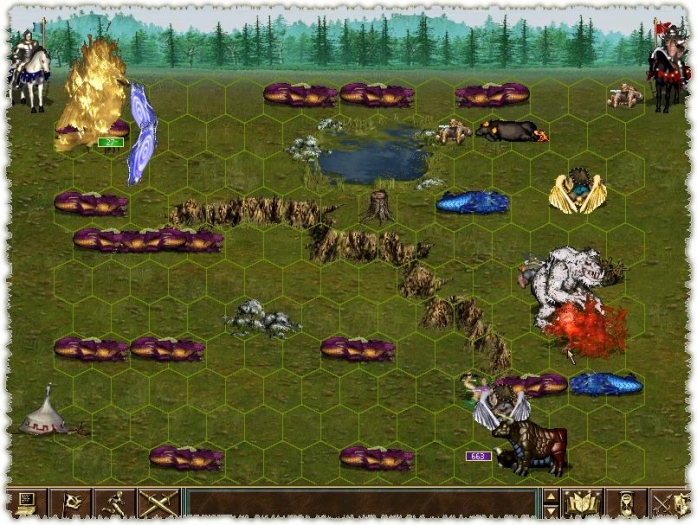 6.JPG