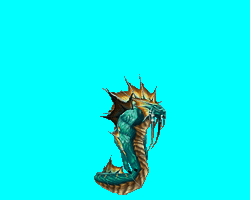 01.gif