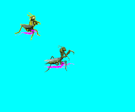 Snap3.gif