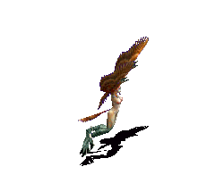 ӥŮA.gif