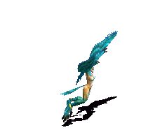 ӥŮ.gif